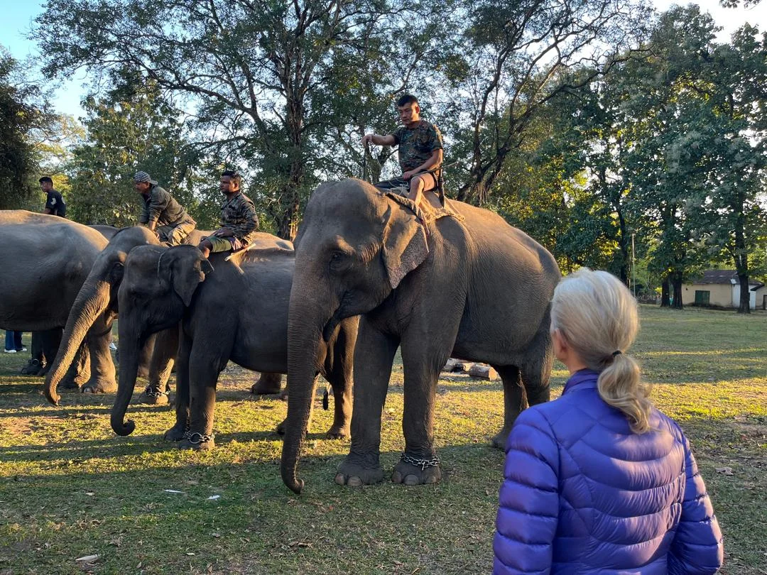Royal Manas National Park wildlife safari from Panbang